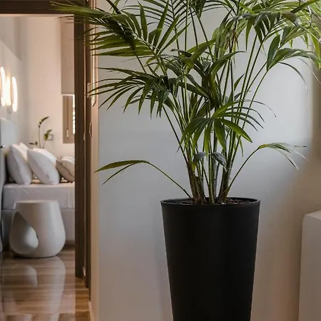 Apartment Aparktion Lixouri